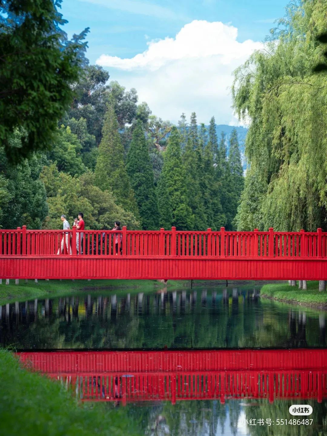 破案了！火爆全网的昆明版天空之境原来在这里