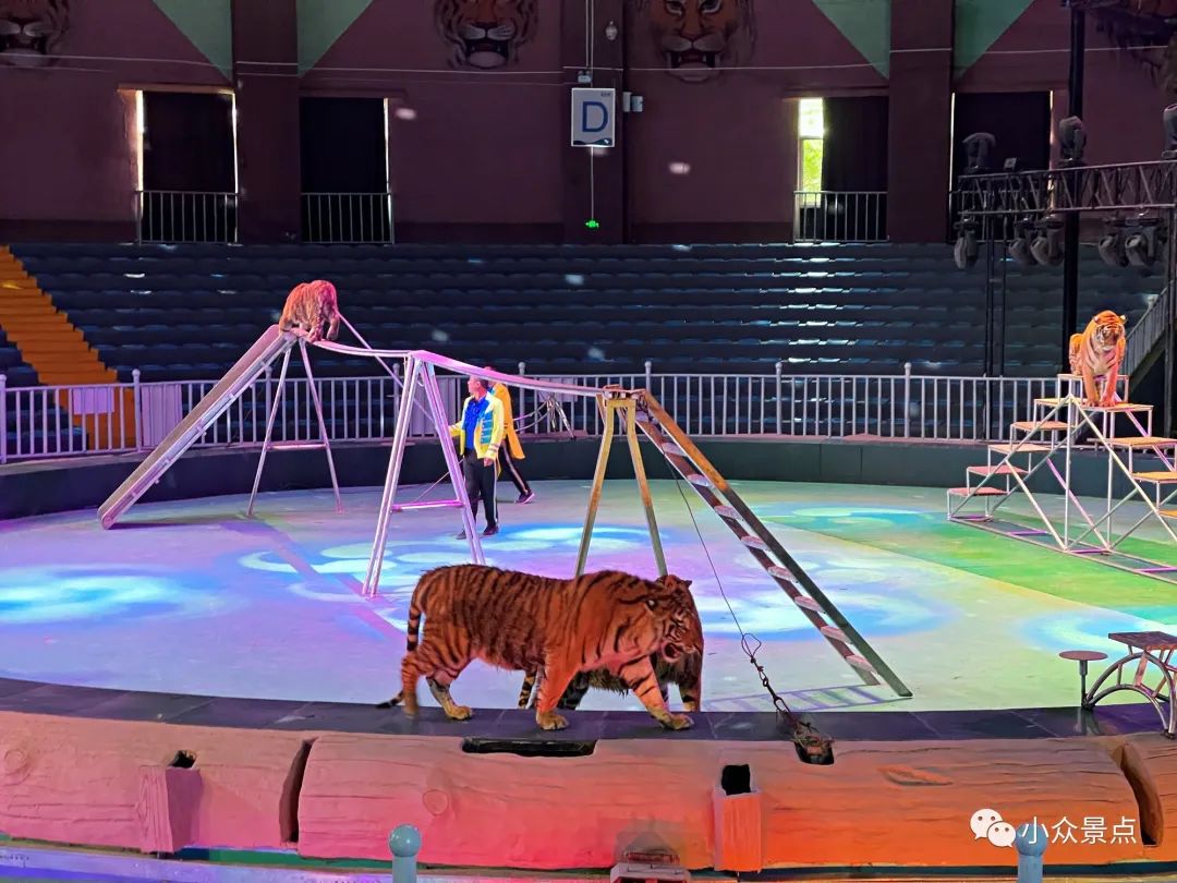 珍珠泉风景区：江北第一游观之所，南京后花园，老山绿色天堂~