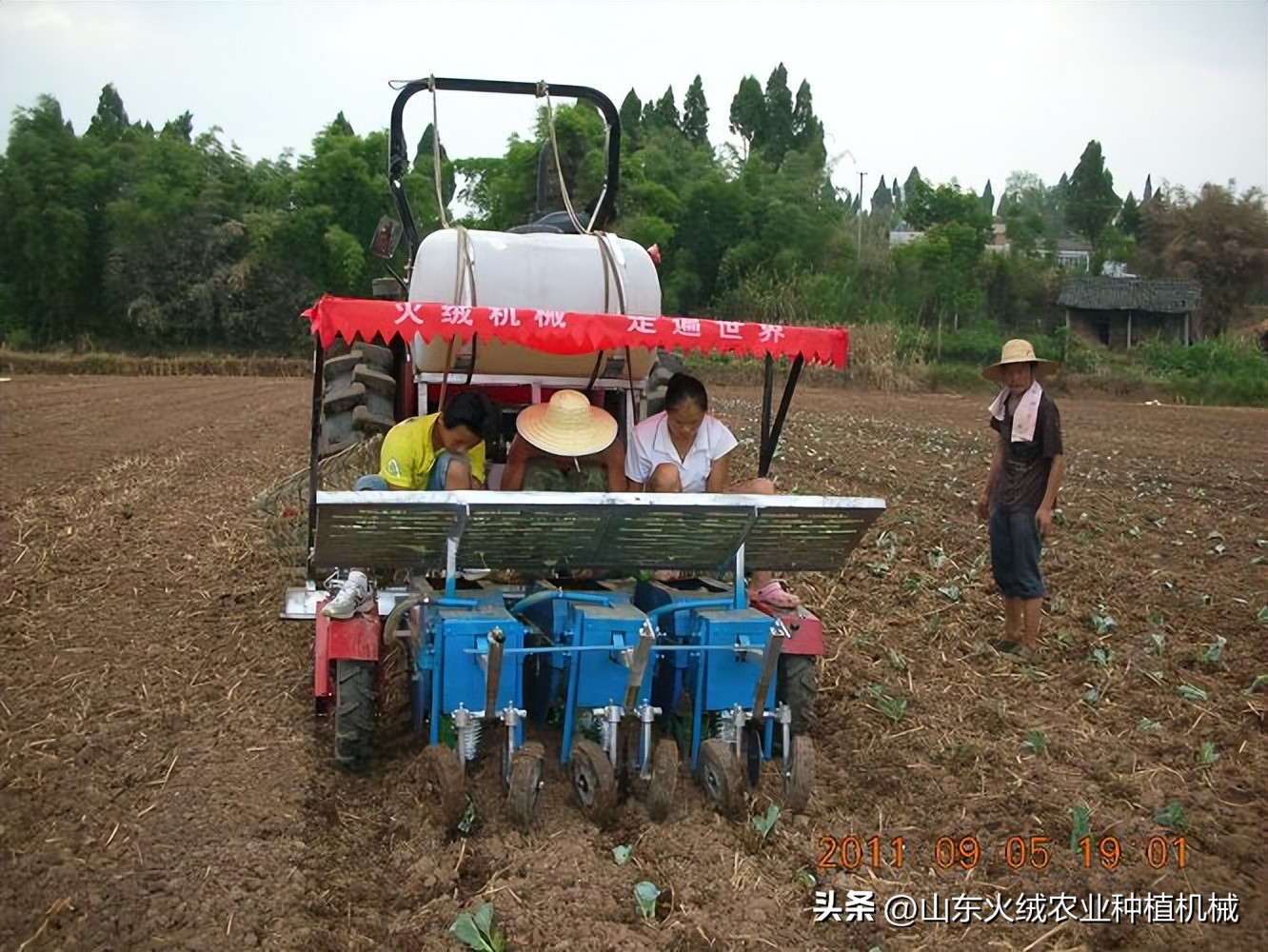 药材移栽机,中药材种苗移栽机