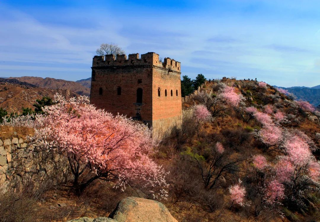 跟着美美去旅游,跟着美美去旅行