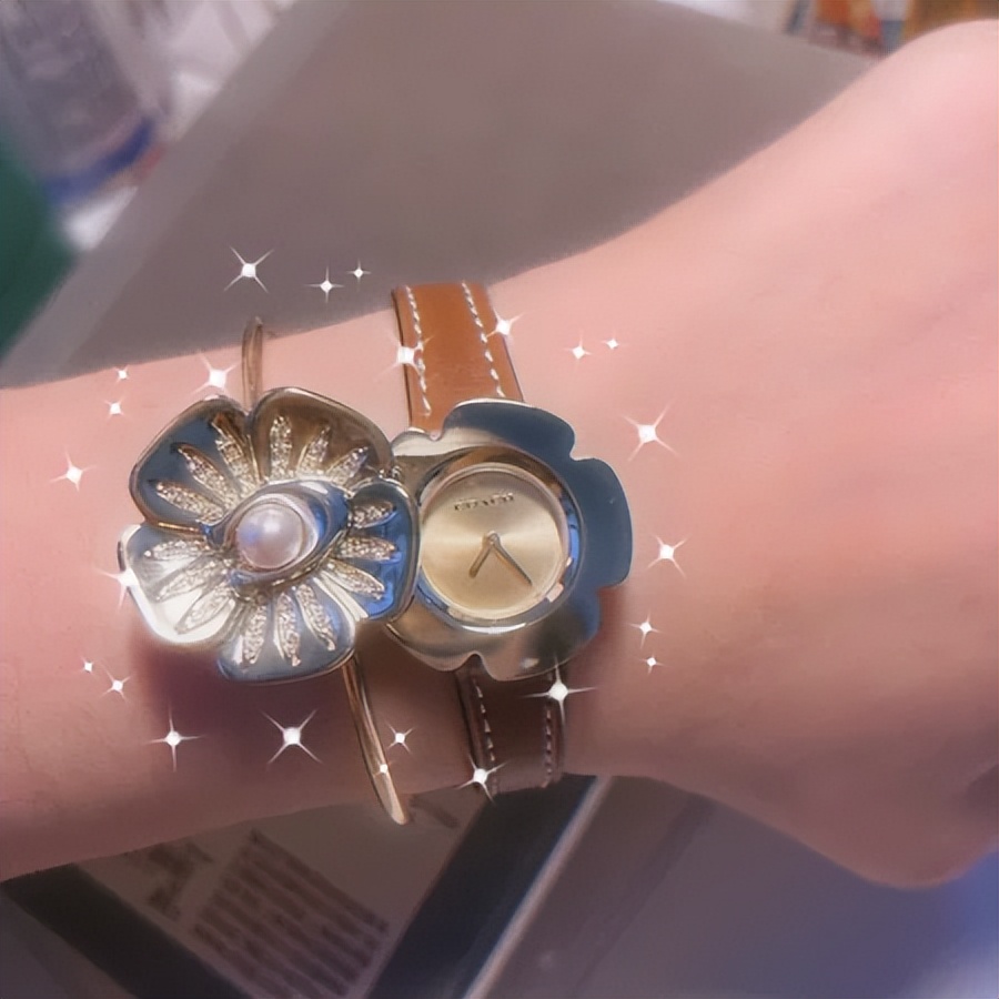 coach蔻驰手表属于什么档次,蔻驰COACH手表女士