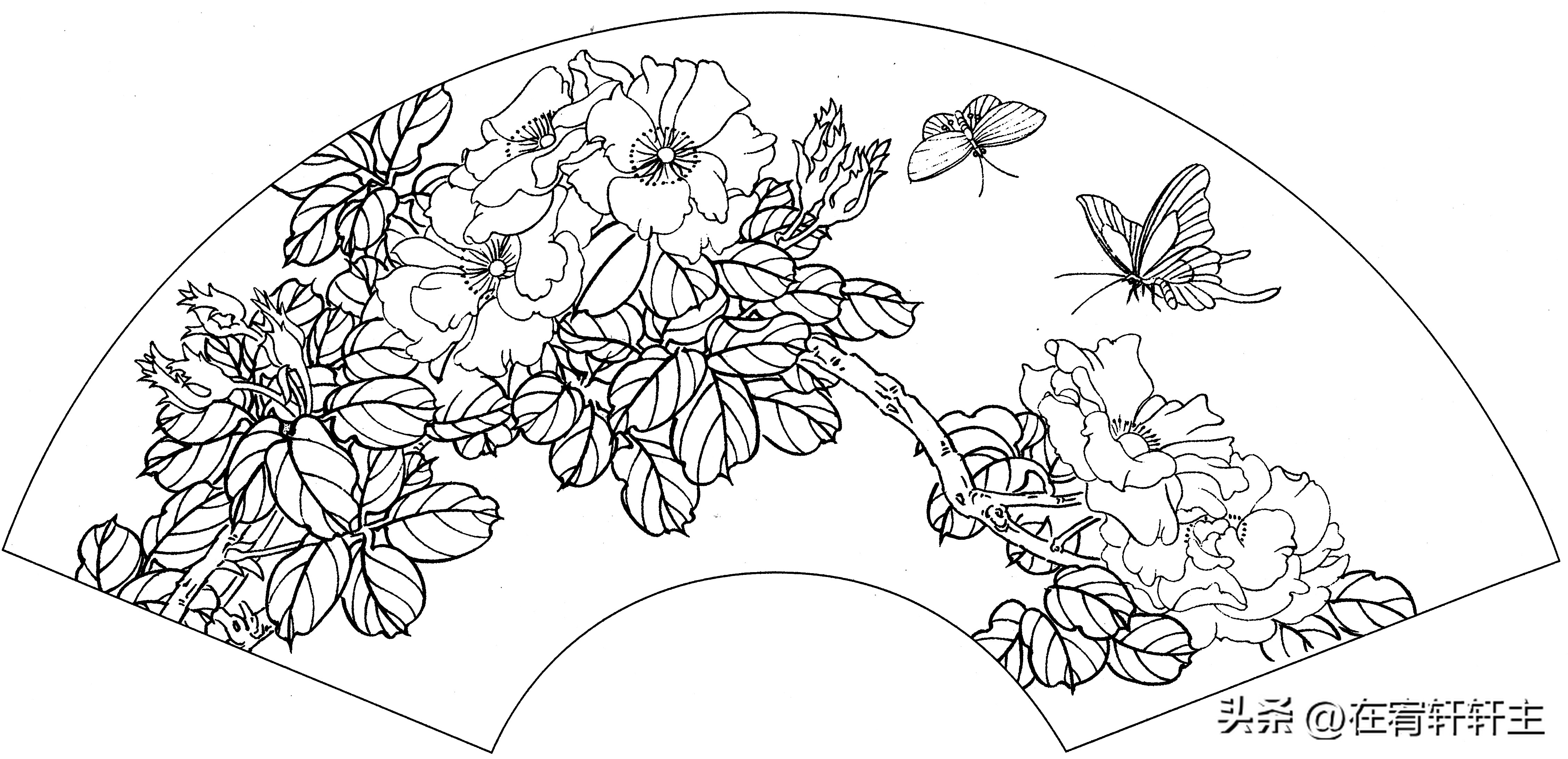 工笔白描祥云图案扇面,工笔扇面葡萄白描图片