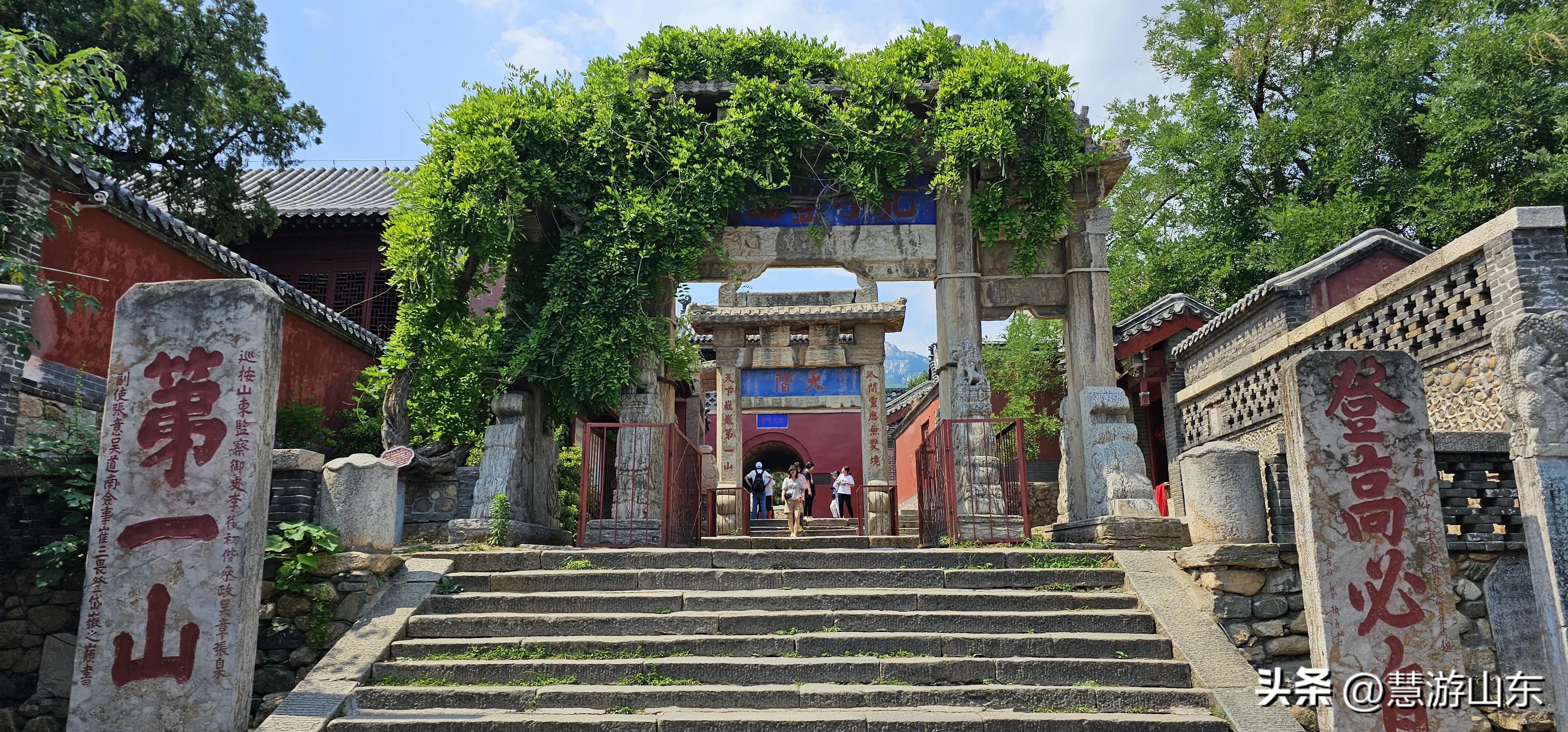 关于乡村振兴的政策解读简报,宣传乡村振兴信息简报内容