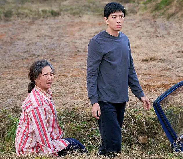 我的解放日志：能够发现生活中微小的痛苦