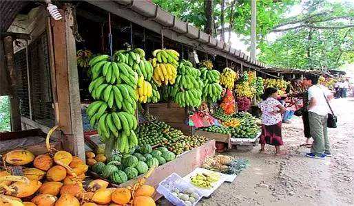 斯里兰卡国家破产民众怎么办,破产的国家斯里兰卡