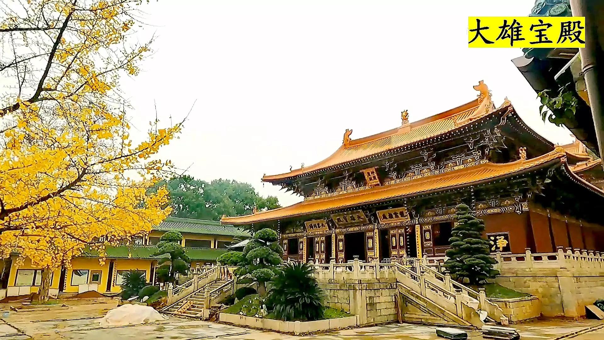 佛教圣地东林寺,东林寺祖庭与净土宗有何区别