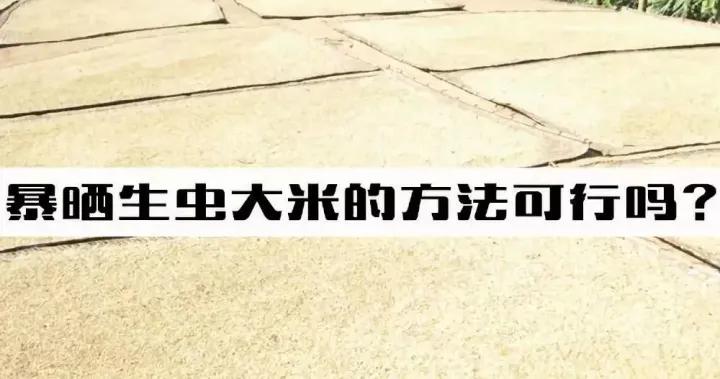 100斤大米怎样保存不发霉不生虫,大米发霉怎样防治