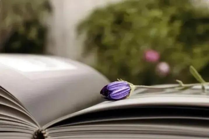 一个人的层次高低看三个方面,人的层次与境界