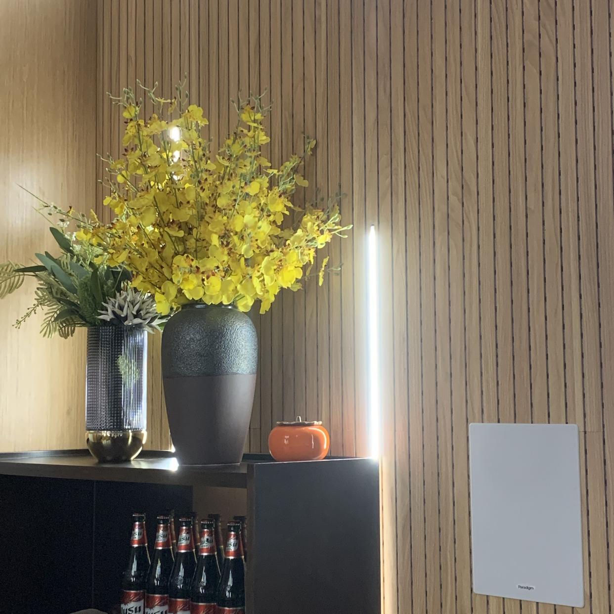 豪华观影厅与普通电影厅的区别,电影院最佳的观影厅是什么