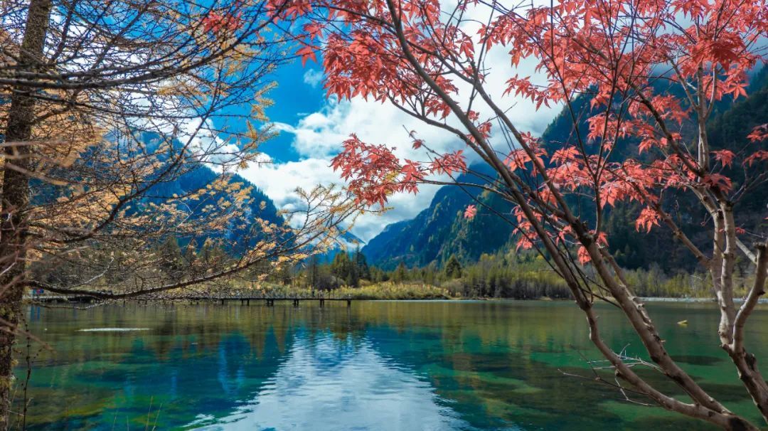 宸濊タ娴极鐨勫ぉ鑺辨澘,鏃嬭浆鏈ㄩ┈宸濊タ缇庢櫙