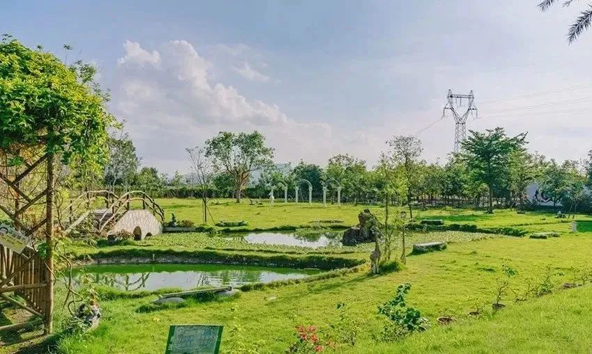 30秒带你认识信丰,一分钟带你认识东莞