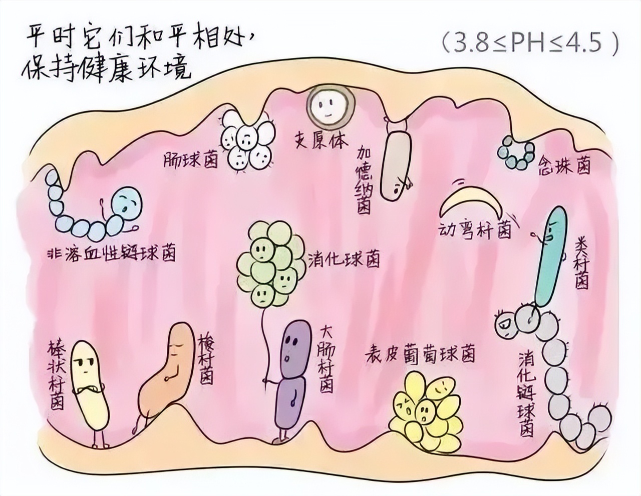 妇科健康知识清洗,妇科洗护知识