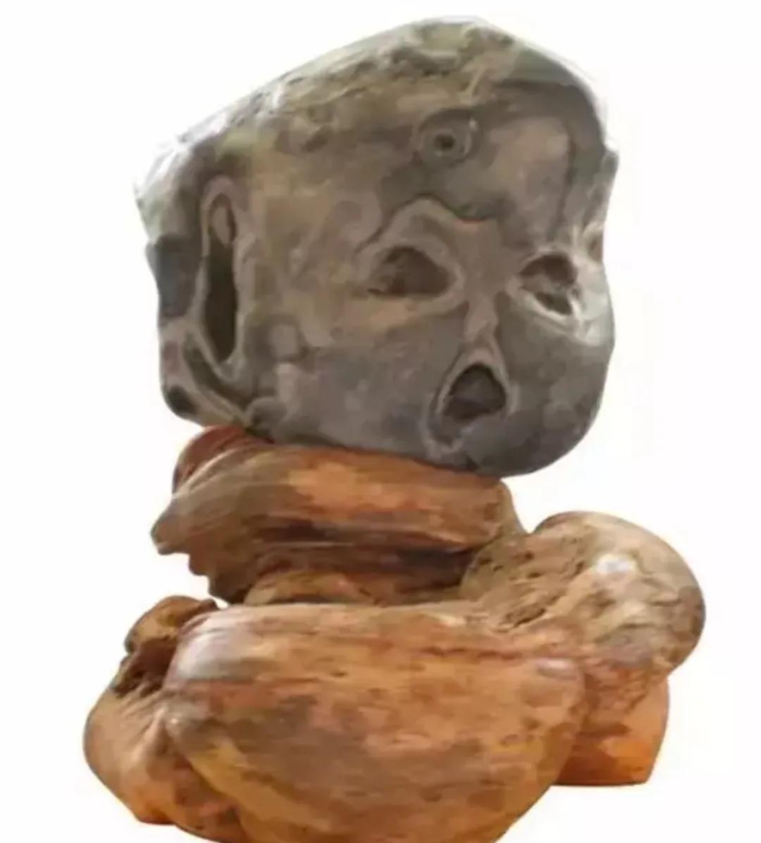 成精的石头蛋,石头成精的过程视频