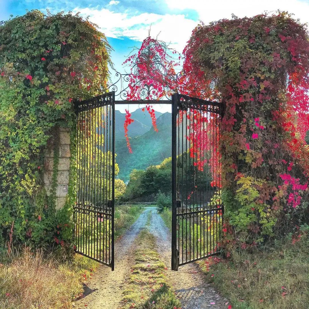 澳洲夫妇被坑230万买下烂屋！神级改造后惊艳网友：想去打卡