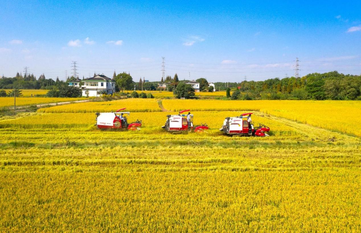 常熟之地“新粮农”