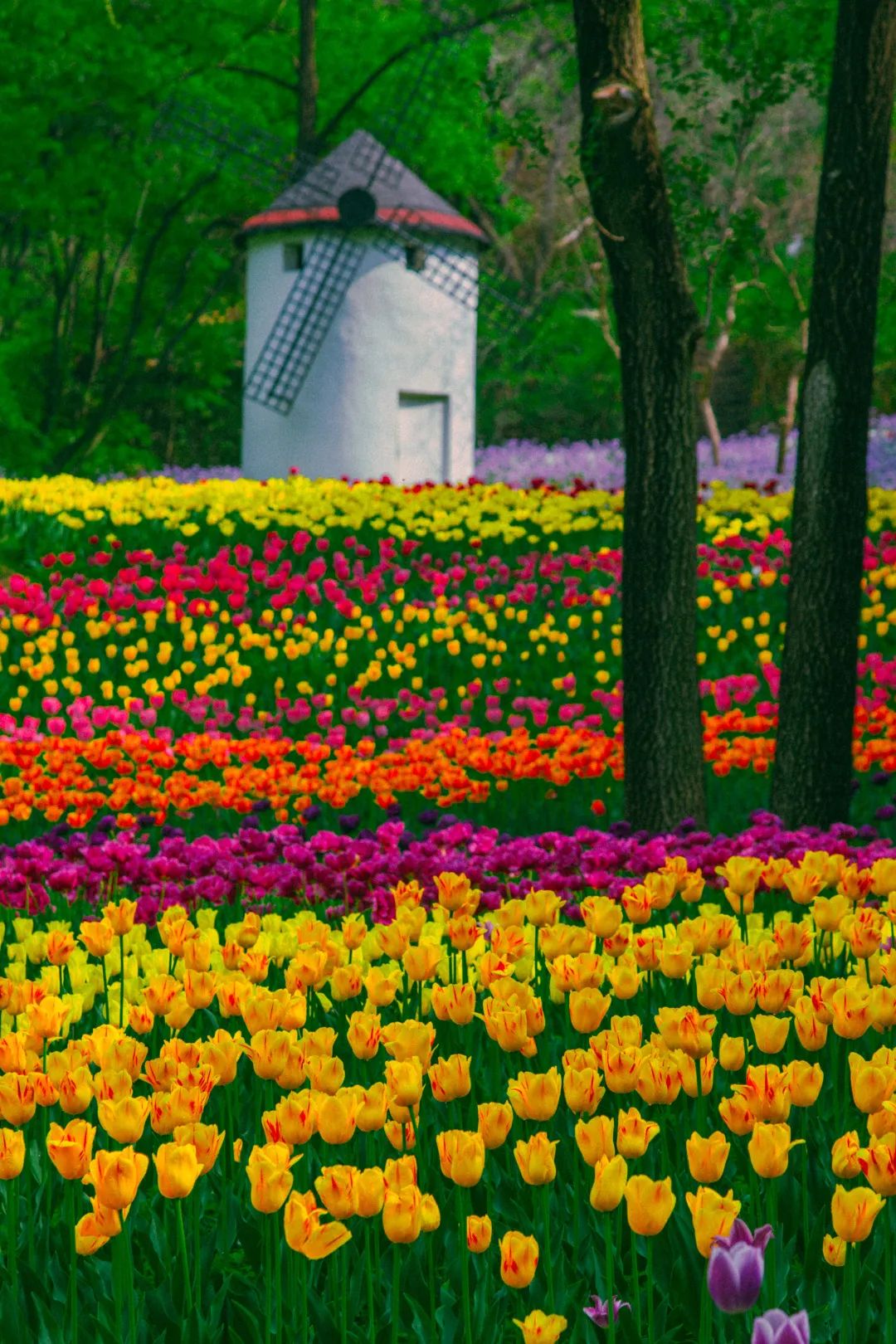 济南旅游公交专线有哪些 (济南近郊公交直达的游玩场所)