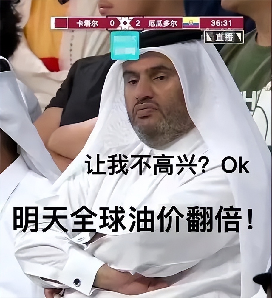 卡塔尔世界杯日本明星太太团来袭,卡塔尔世界杯太太团来袭