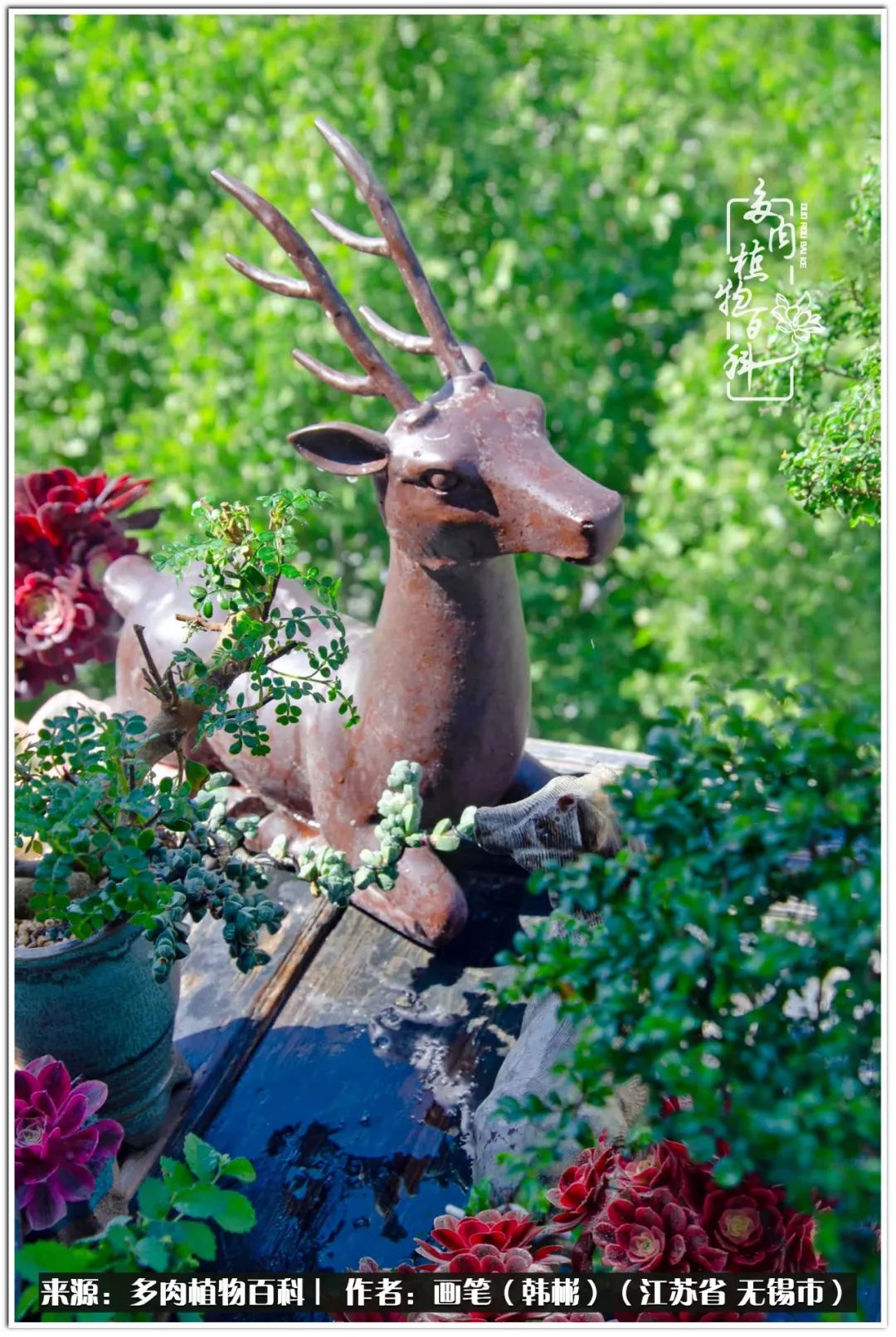 月满西楼别有一番滋味在心头,绿肥红瘦