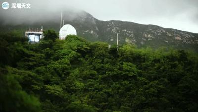深圳西涌迎萤火虫观赏季,西涌萤火虫在哪个地方
