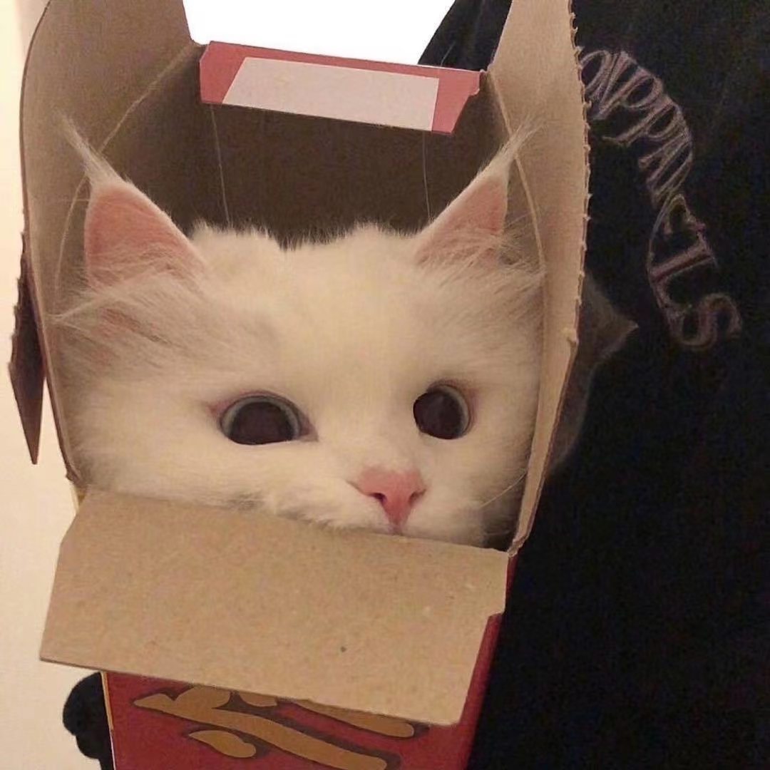 好听的网名温柔可爱,好听男生网名温柔简短