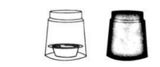 比较种子发芽实验五年级课堂笔记,五年级下册种子发芽实验报告单