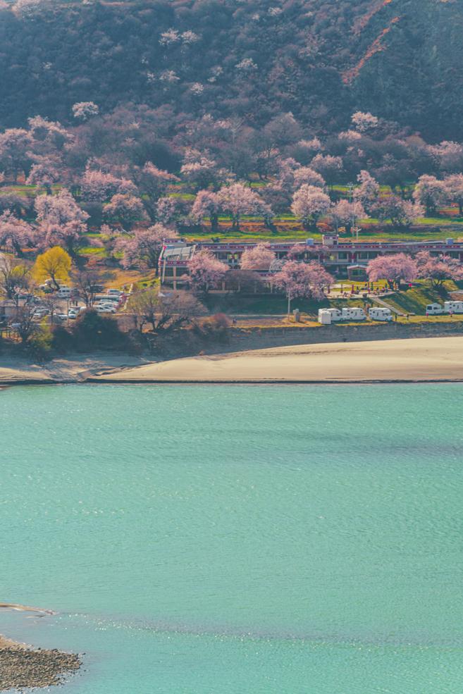 龙泉山看桃花徒步最佳路线,徒步穿越十里桃花漫山遍野