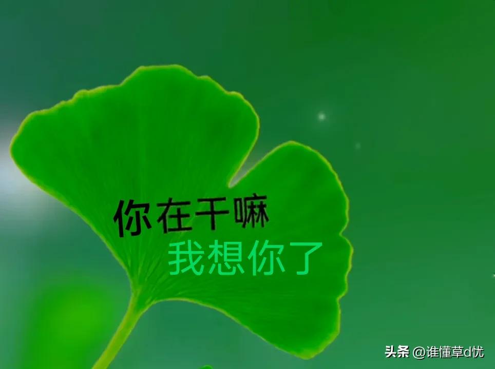 鐖变綘涓嶈礋閬囪灏忚,鐖变綘涓嶈礋閬囪灏忚鐩涢亣