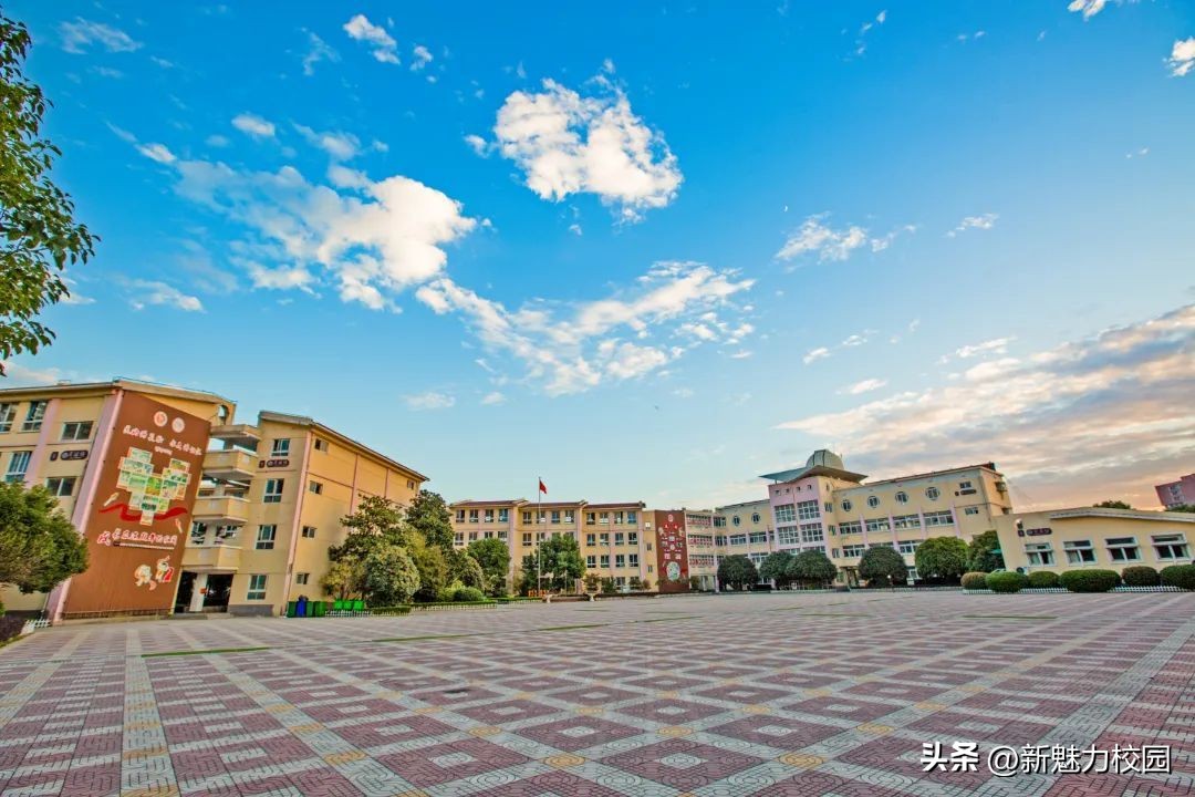 耕耘·我们的教育答卷——雨花台区学校特色与品牌系列报道4