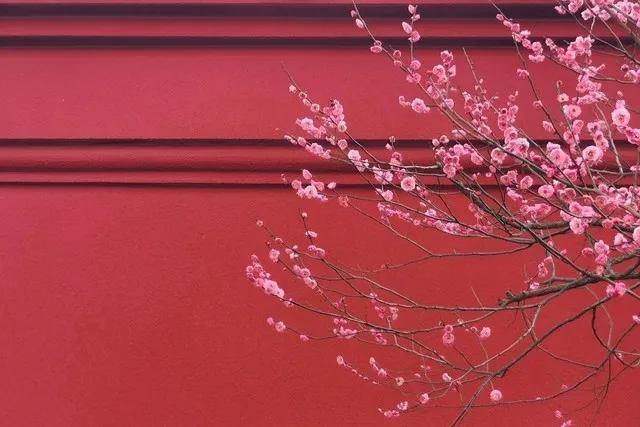 经典最好听十首红歌,最好听最经典的十首红歌