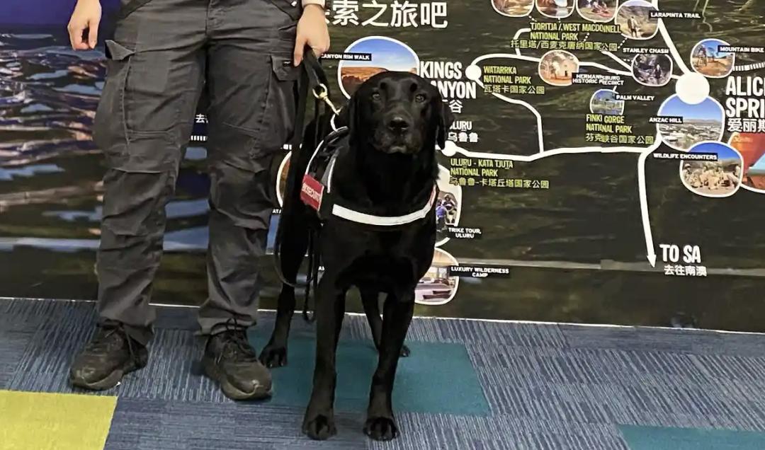 澳洲机场频现“天价”快餐!一份最普通麦当劳2664澳币