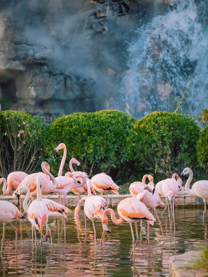 山东夏天去避暑最好的方法,夏日送清凉方案
