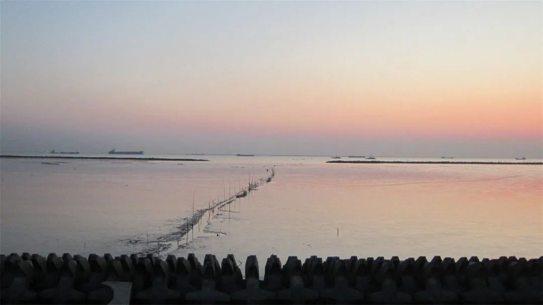 上海附近的大海沙滩旅游推荐,上海周边最建议去的沙滩