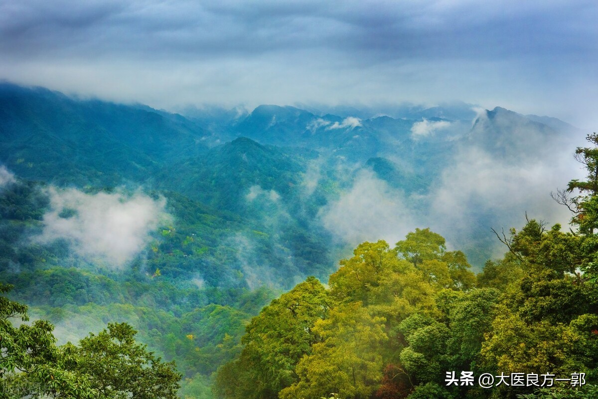 总结治疗“阳委”4大中成药，品种繁多，使用方便，疗效确切！