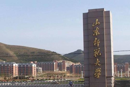 山东省2023艺考专业项目,山东艺术生报考的学校有哪些专业