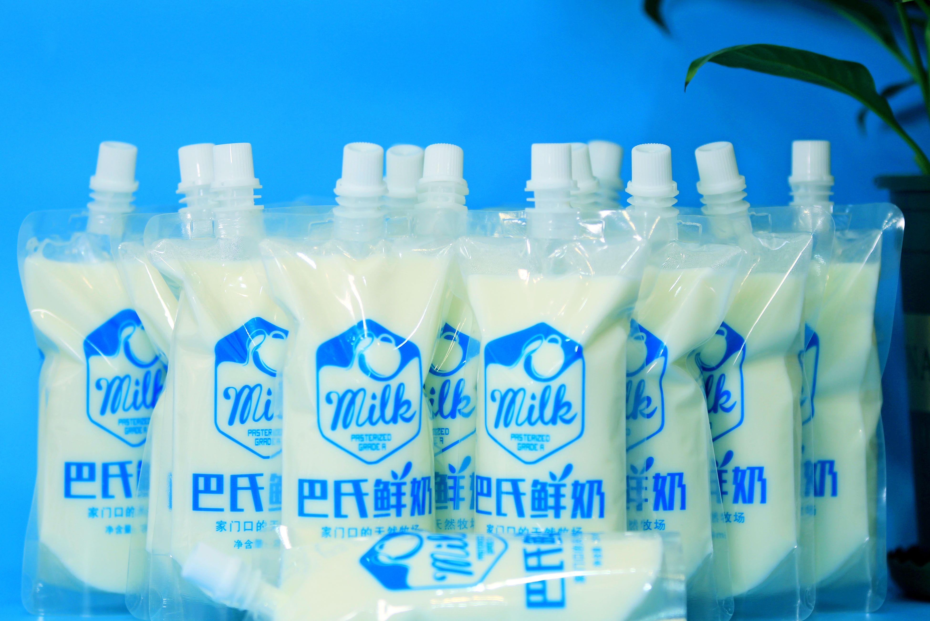 如何开一家卖牛奶酸奶的店,怎样开一家奶制品店