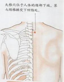 吃什么食物能帮助甲状腺结节消散,消散甲状腺结节的中成药有哪些