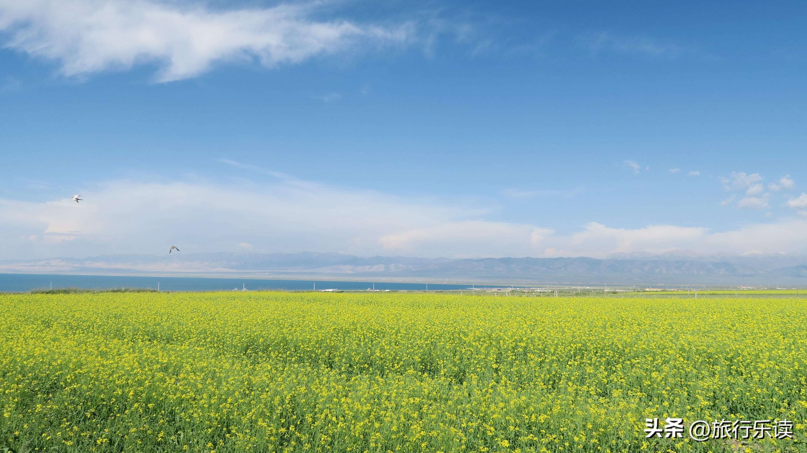 青海湖游览攻略自驾游,青海湖旅游攻略冬季景色