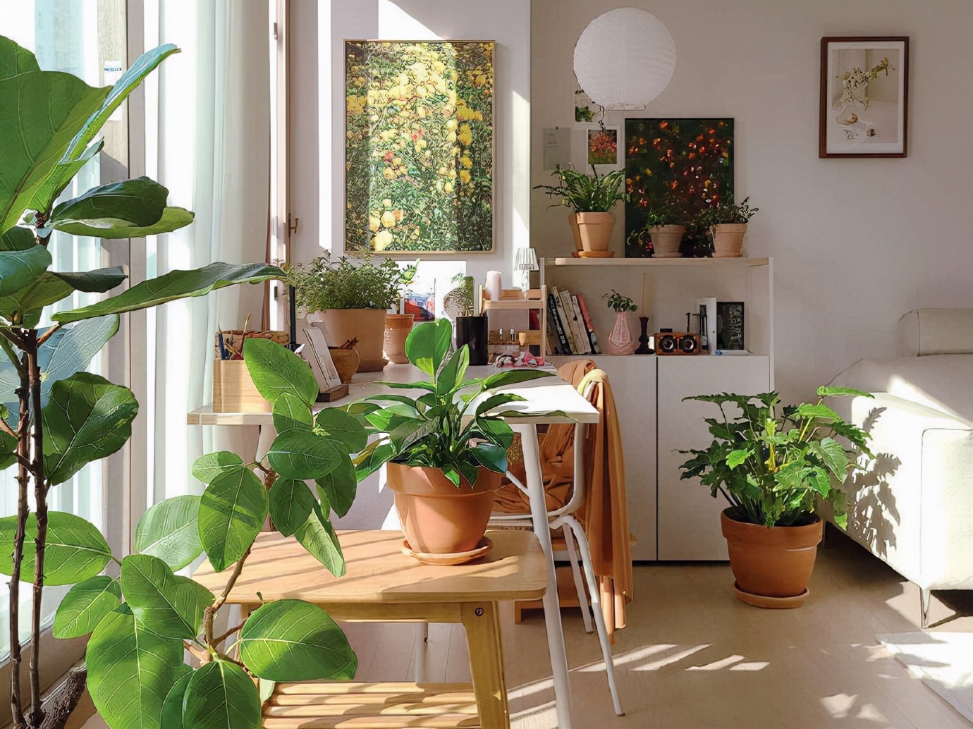 乔迁新居用什么鲜花最好,新房搬家用什么鲜花