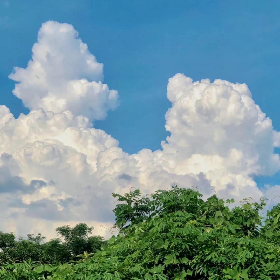 又一次颠覆了我的三观文案,三观很正又很沙雕的文案