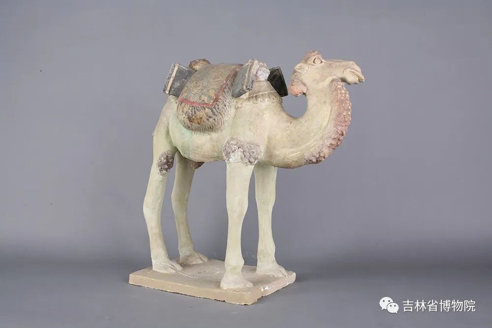 吉林省博物馆永远的长安讲解时间,万人观看展厅