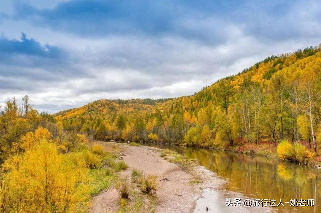 呼伦贝尔塞北草原旅行,呼伦贝尔金秋自驾游