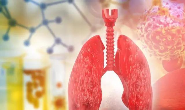 十万个冷知识（三十六期）嘎嘎涨姿势