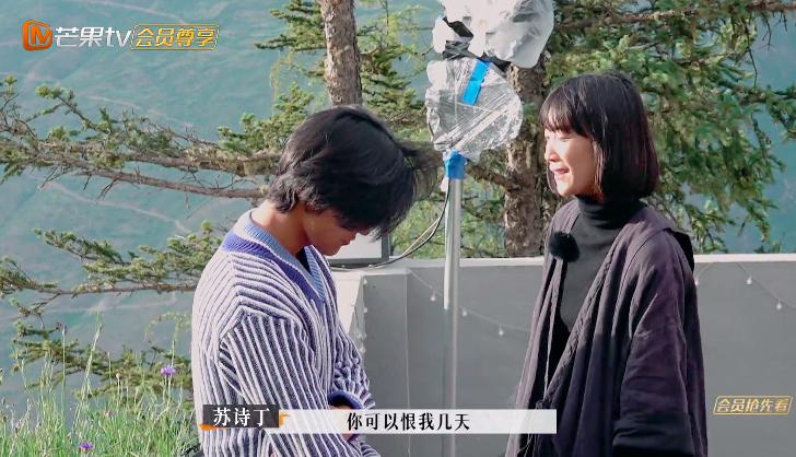 苏诗丁和卢歌再见爱人结局,再见爱人2苏诗丁和卢歌复合了吗