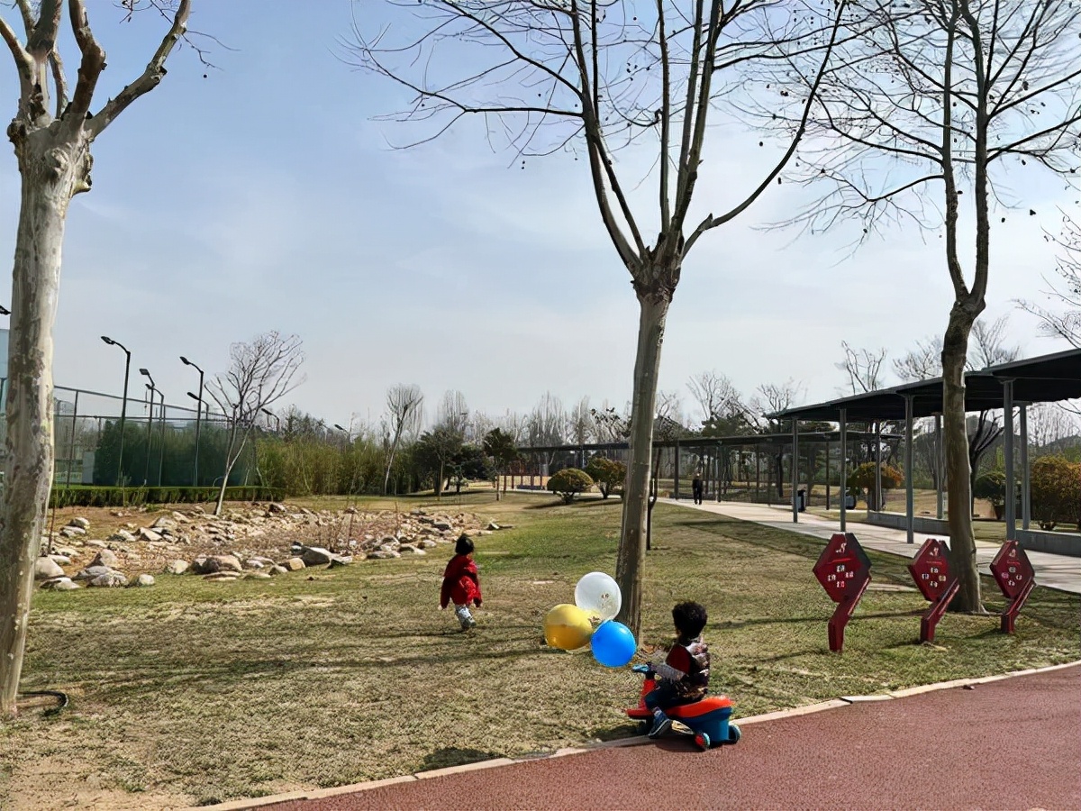 足球入场费,郑州足球场草坪费用