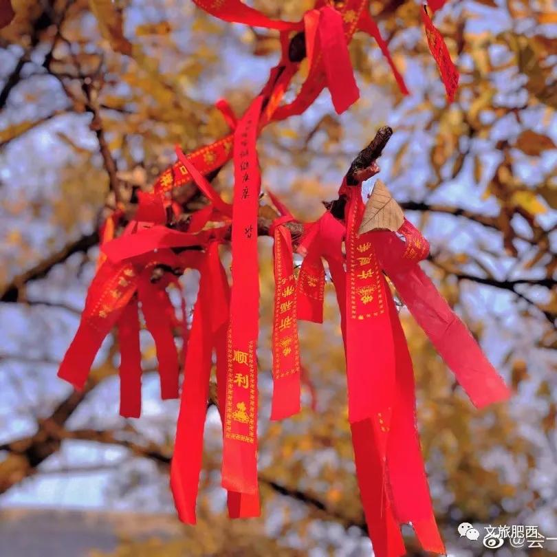 原来，在社交平台中，肥西的真实风景是这样的