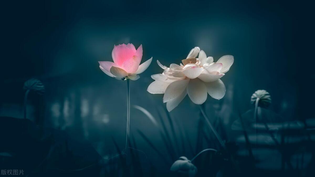 一个1980元的消费提醒，让我看清了他的真面目。