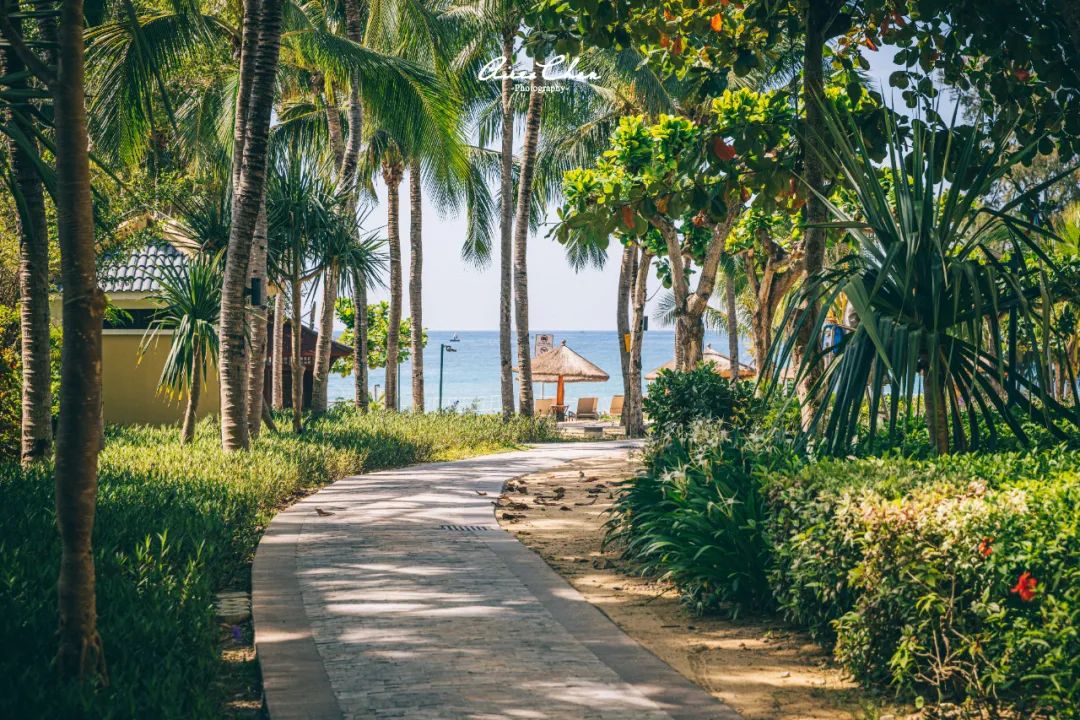 丽思卡尔顿奢华之旅,丽思卡尔顿度假村