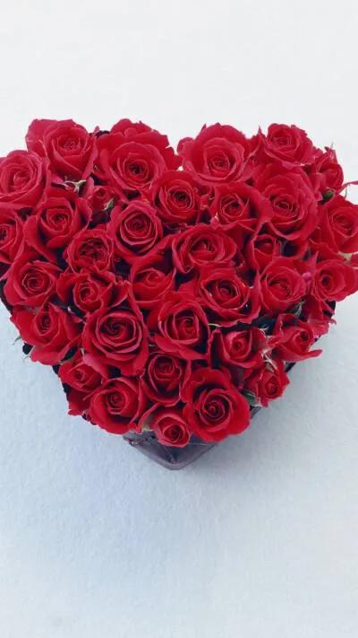 好看的的壁纸高清,好看的壁纸正方形图片