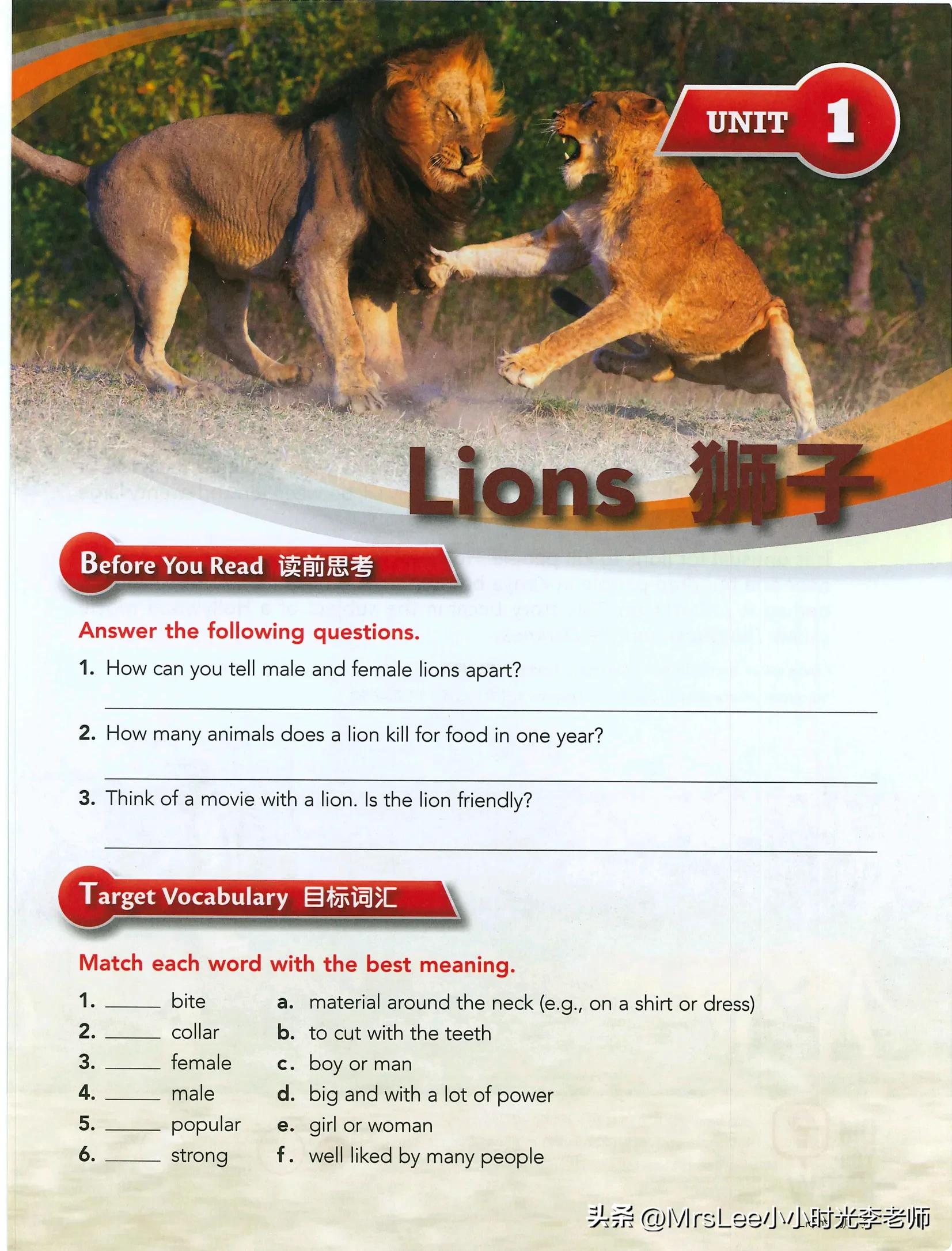 中学生英语阅读新视野1第四版,中学生英语阅读新视野