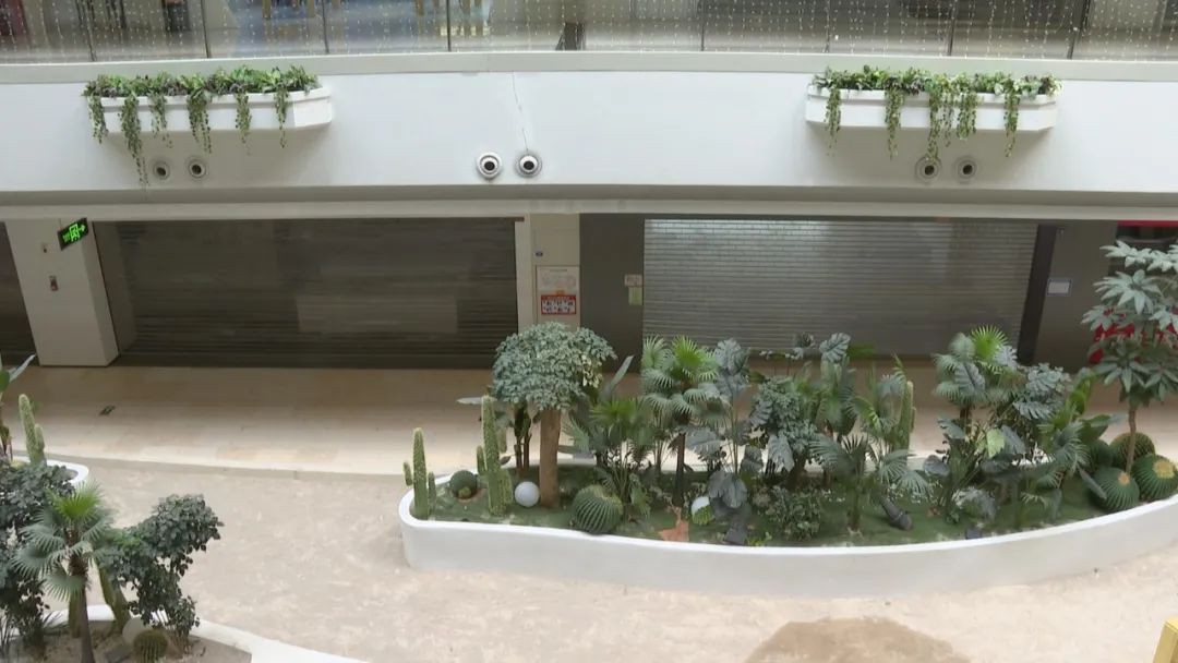 厦门蔡塘广场人气怎么样 (2018厦门蔡塘广场)